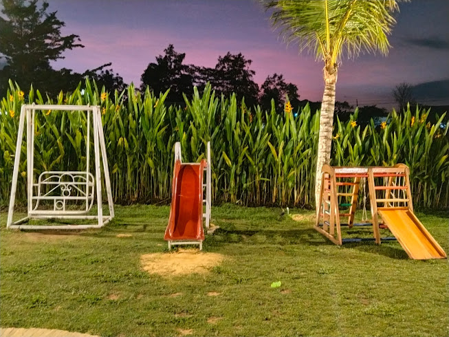 Padiku Eatery & Coffee, Tempat Nongkrong Ramah Anak di Jogja